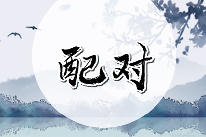 身強食傷生財的女人 個人有能力有投機之財
