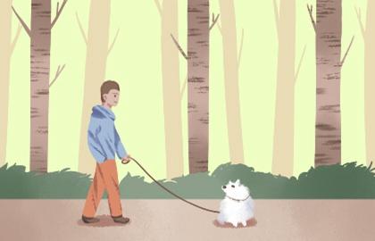 三兩六錢男命一生命運 財運有所欠缺