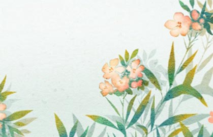 破月生人一定命不好嗎 民間俗稱的敗月歌訣