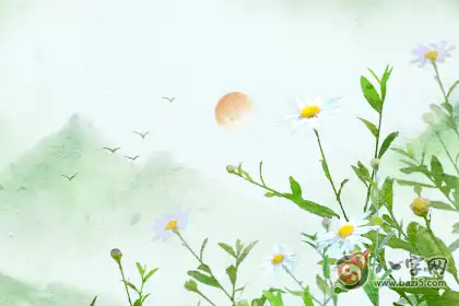稱骨算命 三兩二錢女命是不是好命