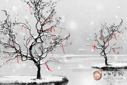 稱骨算命 五兩二錢女命可以嫁貴夫嗎