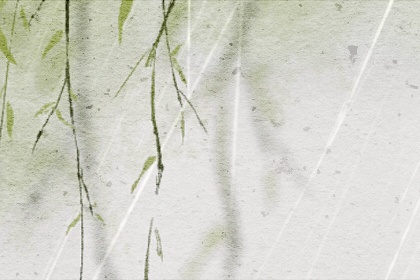 甲木是什么木 屬於陽木與乾枯的木