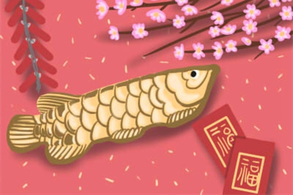 八字分析如何嫁得好 嫁的最好的女人八字