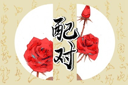 辛卯比肩大運 喜爭論易招誹謗之害