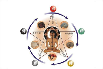 解析屬雞的泉中水命人風水方位在哪