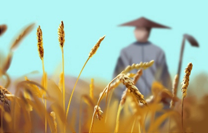 命犯苦焦的嚴重嗎 一輩子都不順利不走運