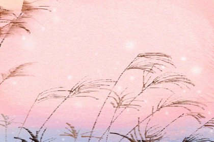 屋上土命帶偏官嗎 一生命運如何