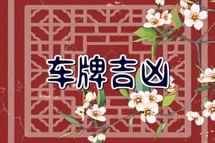 為什么車牌尾數越大越好 車牌號為什么要選大數