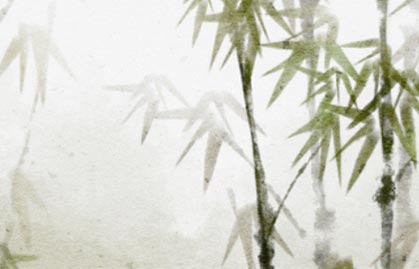 為什么偉人的八字一般 易成為偉人的八字
