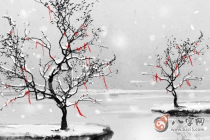 稱骨算命 四兩二錢男命晚年好嗎