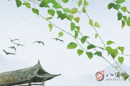 適合土命人的發展方向